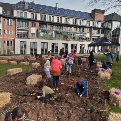 IMG_20230316_105349_3